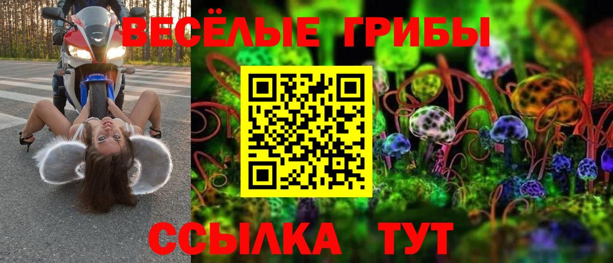 Кириши  Галлюциногенные грибы GOLDEN TEACHER  Вход с VPN  дарнет шоп  Галлюциногенные грибы Psilocybe 