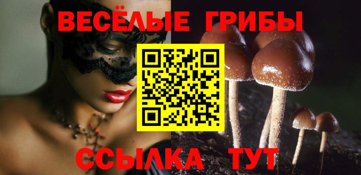 Псилоцибиновые грибы Magic Shrooms Кириши